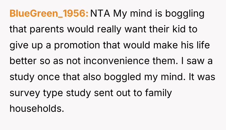 BlueGreen_1956 NTA My mind is boggling that parents would really...