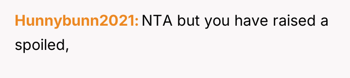 Hunnybunn2021 NTA but you have raised a spoiled,