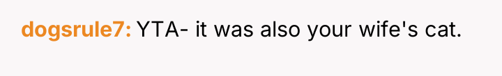 dogsrule7 YTA- it was also your wife's cat.