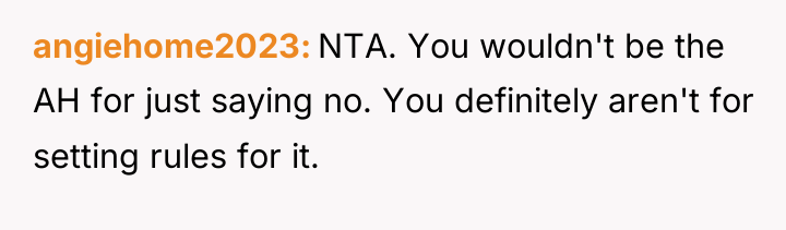 angiehome2023 NTA. You wouldn't be the AH for just saying...