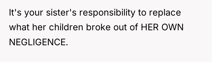 It's your sister's responsibility to replace what her children broke...