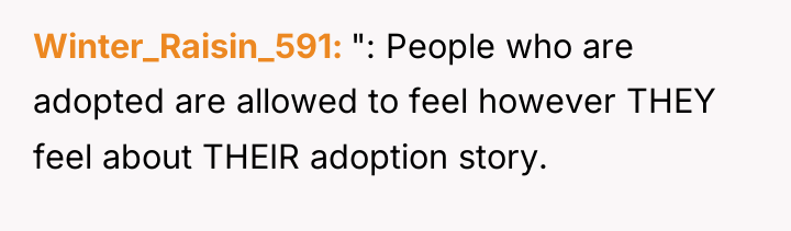 Winter_Raisin_591 ": People who are adopted are allowed to feel...