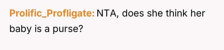 Prolific_Profligate NTA, does she think her baby is a purse?
