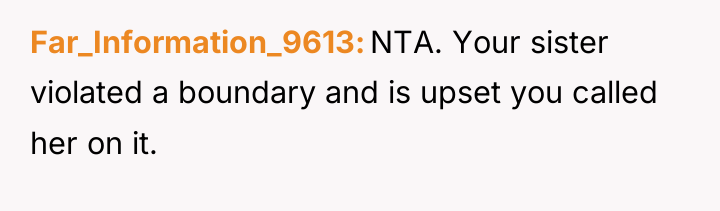Far_Information_9613 NTA. Your sister violated a boundary and is upset...