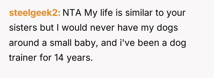 steelgeek2 NTA My life is similar to your sisters but...