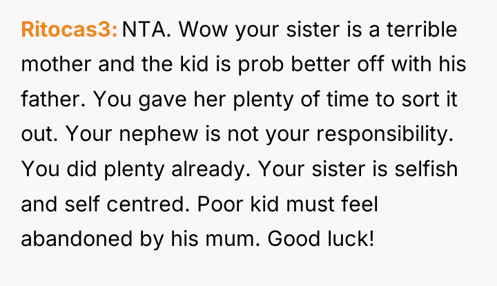 Ritocas3 NTA. Wow your sister is a terrible mother and...