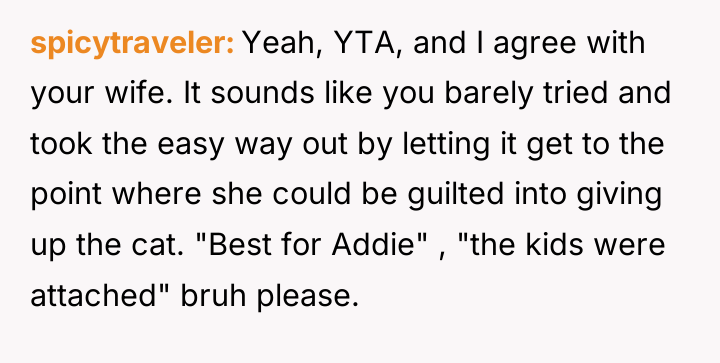 spicytraveler Yeah, YTA, and I agree with your wife. It...