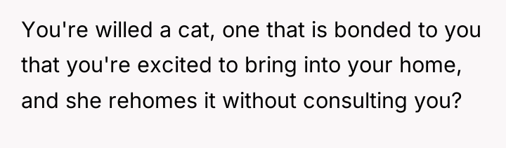 You're willed a cat, one that is bonded to you...