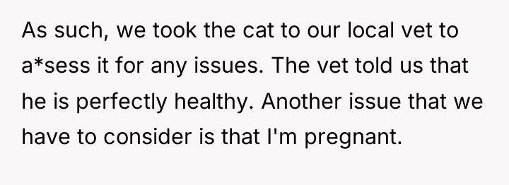 As such, we took the cat to our local vet...