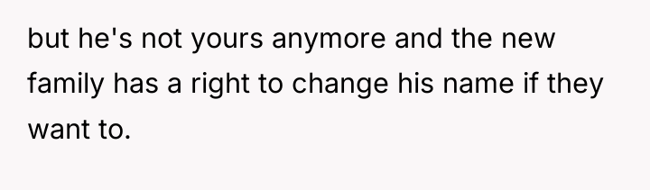 but he's not yours anymore and the new family has...