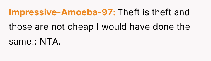 Impressive-Amoeba-97 Theft is theft and those are not cheap I...