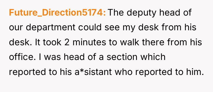 Future_Direction5174 The deputy head of our department could see my...