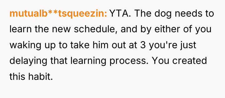 mutualb**tsqueezin YTA. The dog needs to learn the new schedule,...