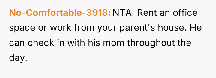 No-Comfortable-3918 NTA. Rent an office space or work from your...