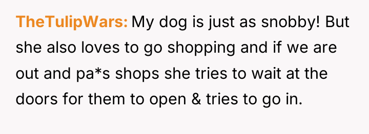 TheTulipWars My dog is just as snobby! But she also...