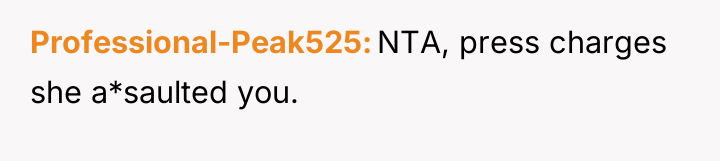Professional-Peak525 NTA, press charges she a*saulted you.
