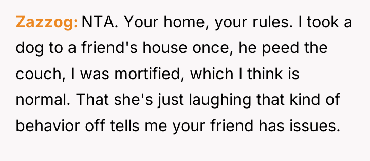 Zazzog NTA. Your home, your rules. I took a dog...