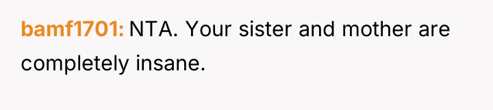 bamf1701 NTA. Your sister and mother are completely insane.
