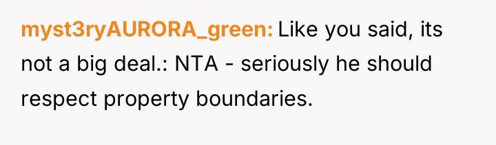 myst3ryAURORA_green Like you said, its not a big deal.: NTA...
