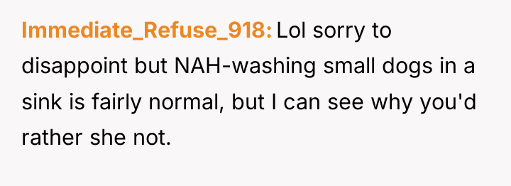 Immediate_Refuse_918 Lol sorry to disappoint but NAH-washing small dogs in...