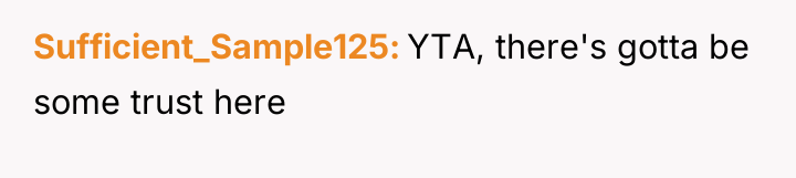 Sufficient_Sample125 YTA, there's gotta be some trust here