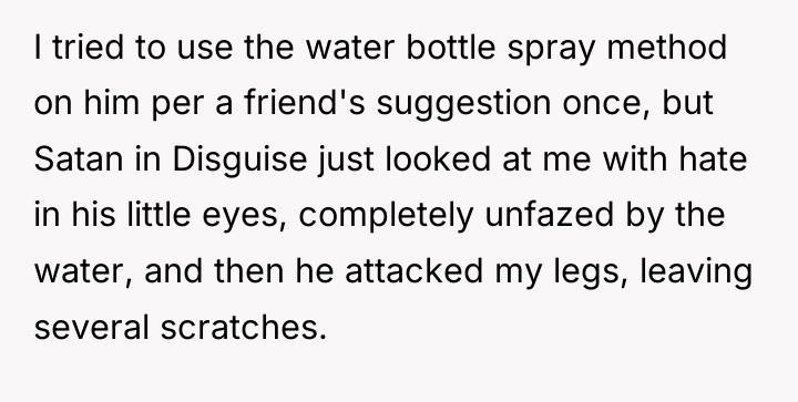 I tried to use the water bottle spray method on...