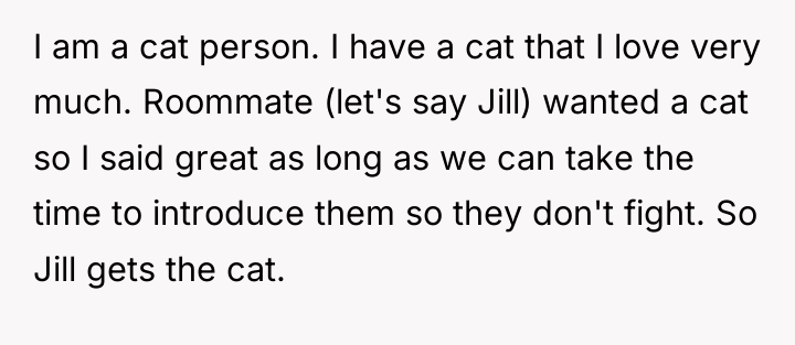 I am a cat person. I have a cat that...
