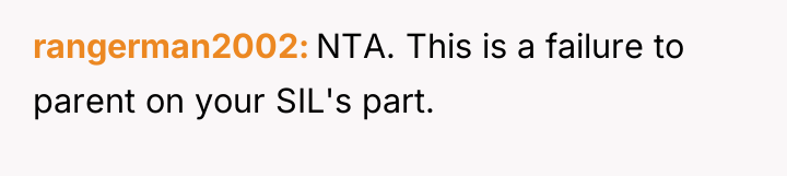 rangerman2002 NTA. This is a failure to parent on your...