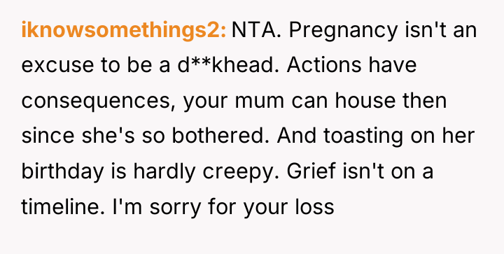 iknowsomethings2 NTA. Pregnancy isn't an excuse to be a d**khead....