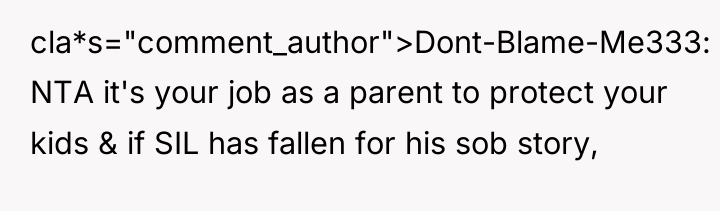 cla*s="comment_author">Dont-Blame-Me333: NTA it's your job as a parent to protect...