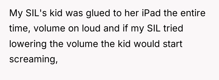 My SIL's kid was glued to her iPad the entire...