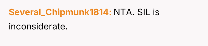 Several_Chipmunk1814 NTA. SIL is inconsiderate.