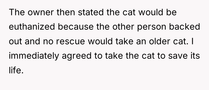 The owner then stated the cat would be euthanized because...