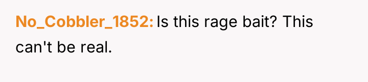No_Cobbler_1852 Is this rage bait? This can't be real.