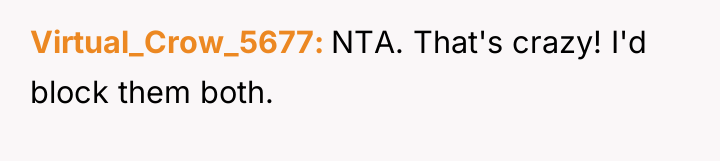 Virtual_Crow_5677 NTA. That's crazy! I'd block them both.