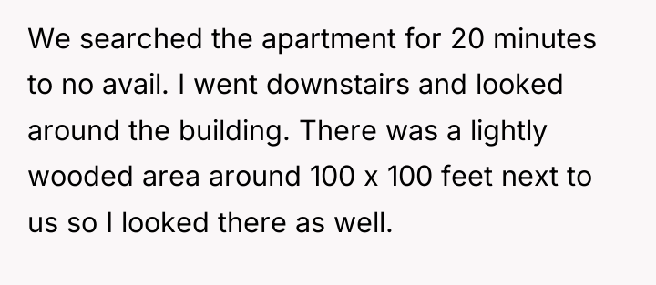 We searched the apartment for 20 minutes to no avail....
