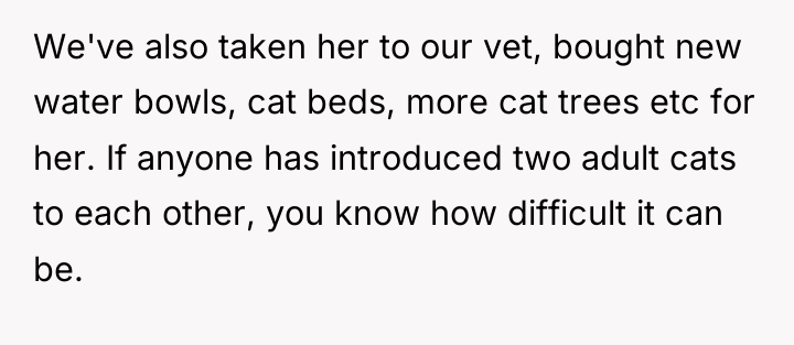 We've also taken her to our vet, bought new water...