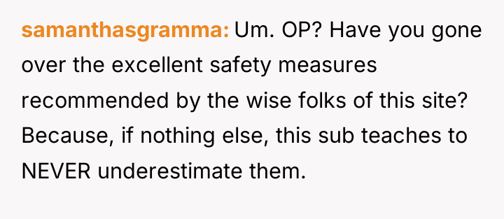 samanthasgramma Um. OP? Have you gone over the excellent safety...