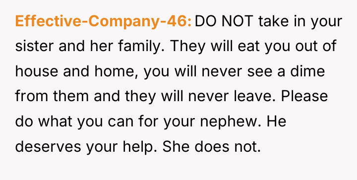 Effective-Company-46 DO NOT take in your sister and her family....