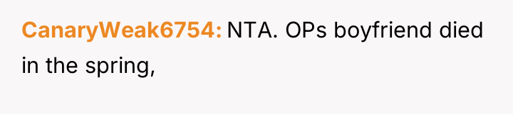 CanaryWeak6754 NTA. OPs boyfriend died in the spring,