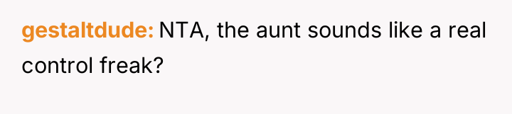 gestaltdude NTA, the aunt sounds like a real control freak?