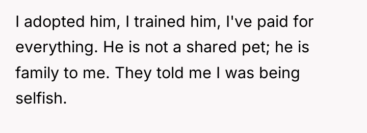 I adopted him, I trained him, I've paid for everything....
