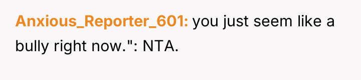 Anxious_Reporter_601 you just seem like a bully right now.": NTA.