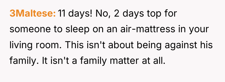 3Maltese 11 days! No, 2 days top for someone to...