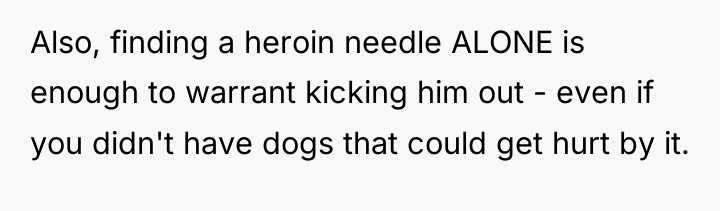 Also, finding a heroin needle ALONE is enough to warrant...