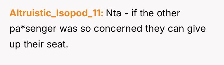 Altruistic_Isopod_11 Nta - if the other pa*senger was so concerned...