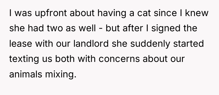 I was upfront about having a cat since I knew...