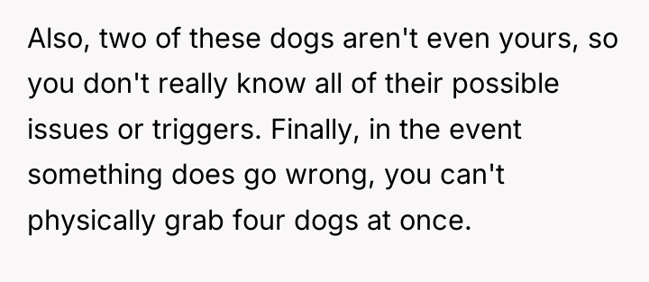 Also, two of these dogs aren't even yours, so you...