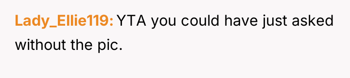 Lady_Ellie119 YTA you could have just asked without the pic.