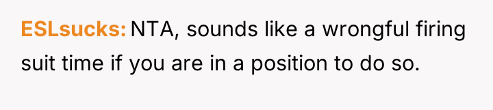 ESLsucks NTA, sounds like a wrongful firing suit time if...